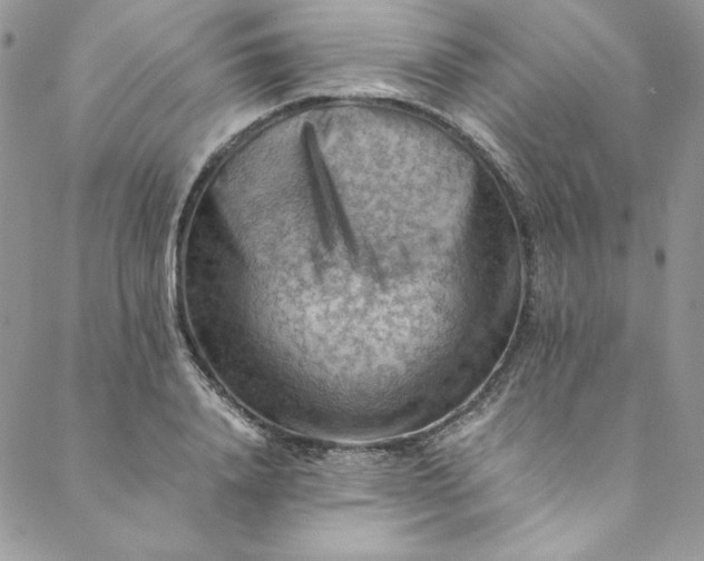 X0000088600840200706081350