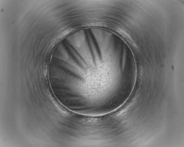 X0000088600841200706081350