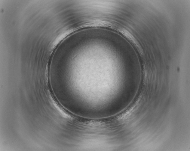 X0000088600842200706081350