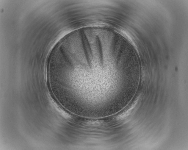 X0000088600843200706081351