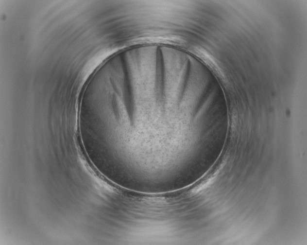 X0000088600844200706081351