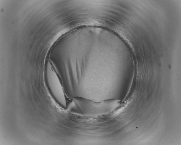 X0000088600845200706081351