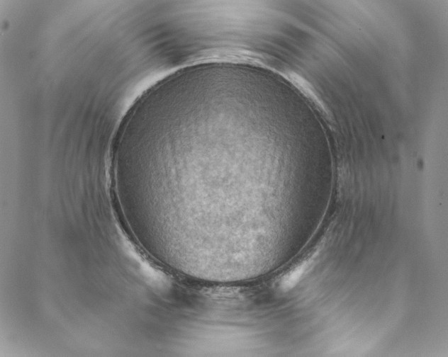 X0000088600846200706081351