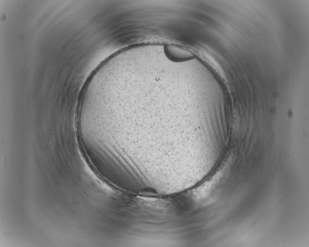 X0000088600847200706081351