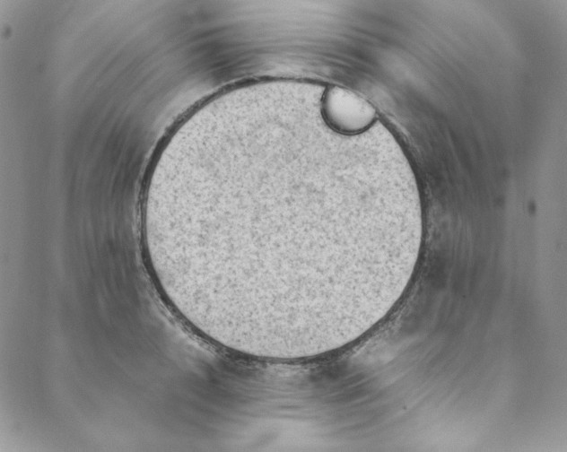 X0000088600848200706081351