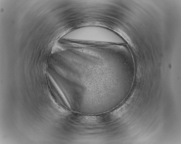 X0000088600849200706081351