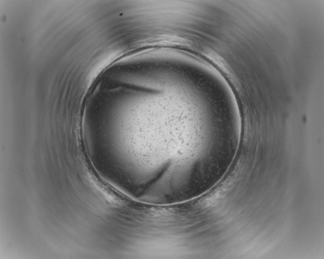 X0000088600850200706081351