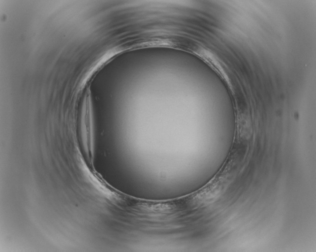 X0000088600851200706081351