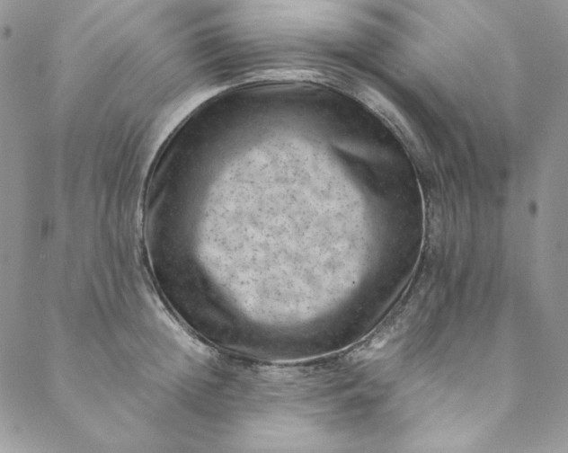 X0000088600852200706081351