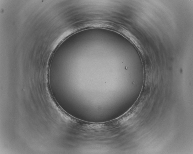 X0000088600853200706081351