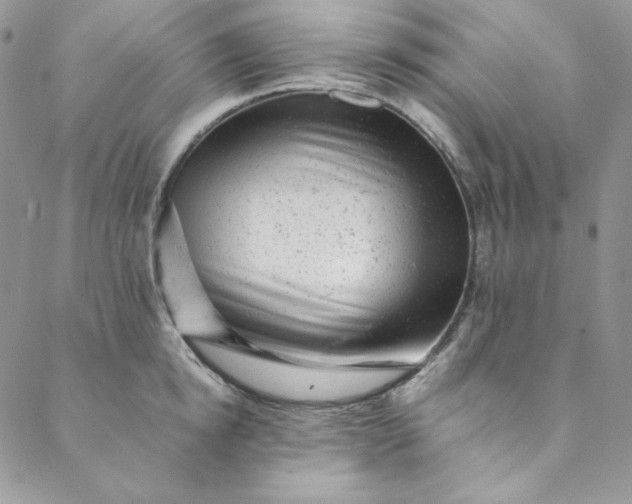 X0000088600854200706081351