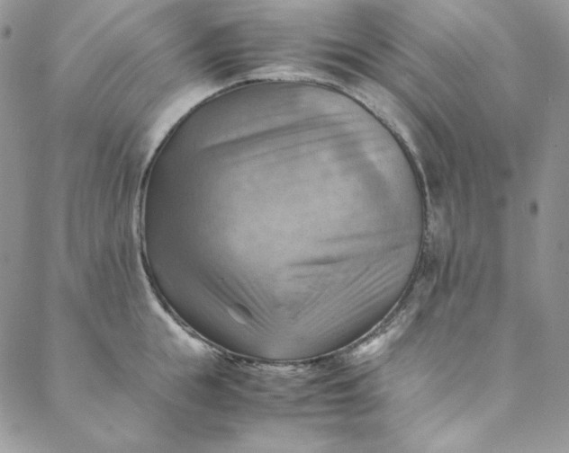 X0000088600855200706081351