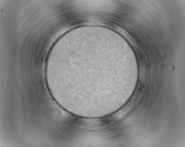 X0000088600856200706081351