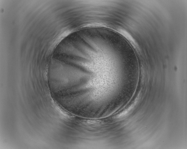 X0000088600857200706081351