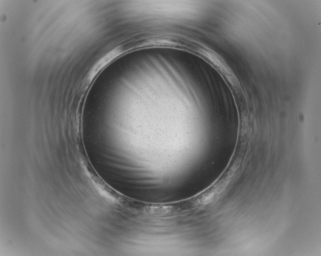 X0000088600858200706081351