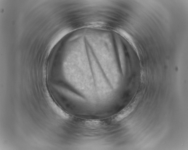 X0000088600859200706081351