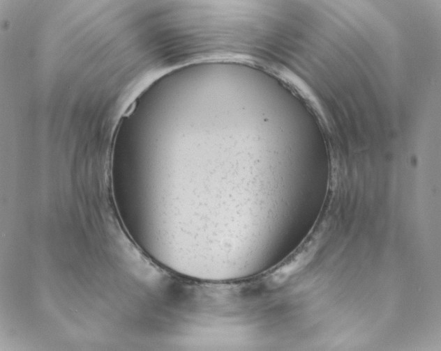 X0000088600860200706081351