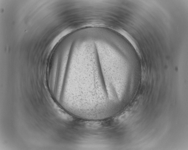 X0000088600861200706081351