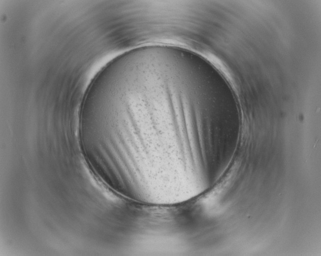 X0000088600862200706081351