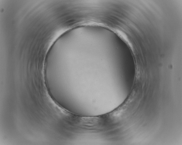 X0000088600863200706081351