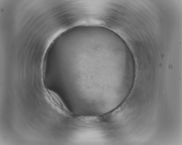 X0000088600864200706081351