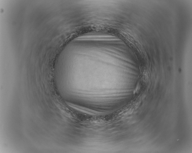 X0000088600865200706081350