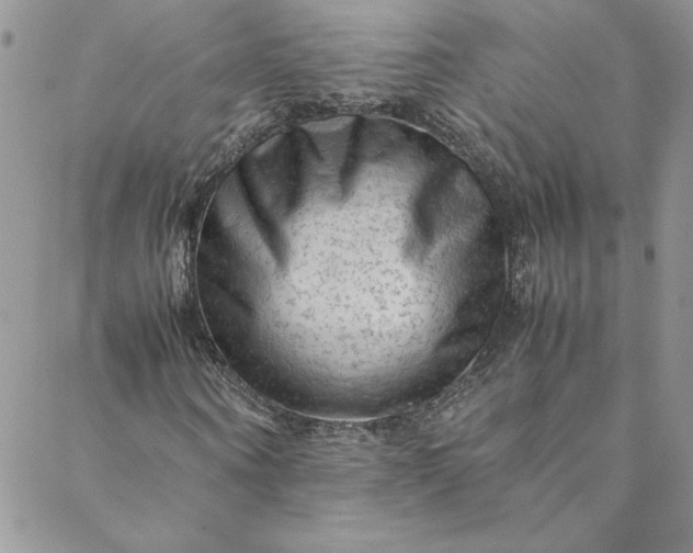 X0000088600866200706081350