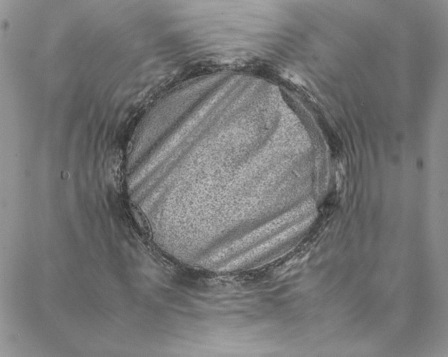 X0000088600867200706081350