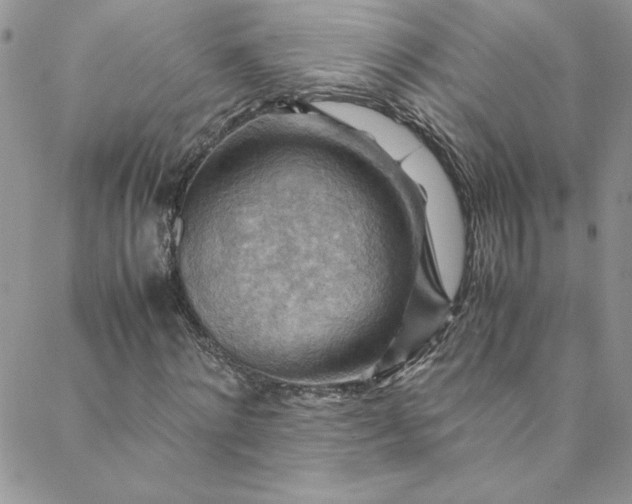 X0000088600868200706081350