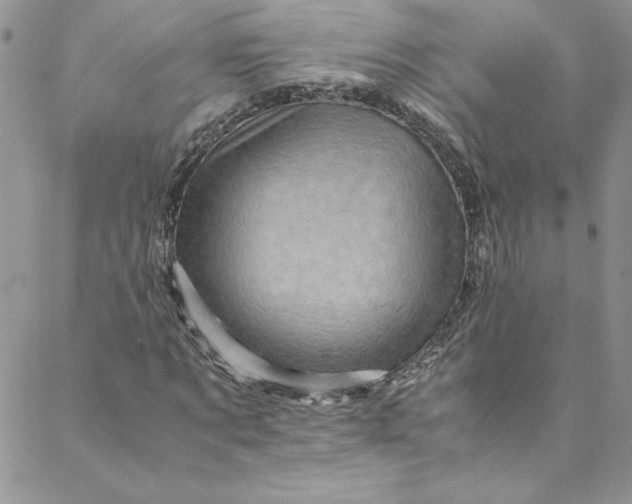 X0000088600869200706081350