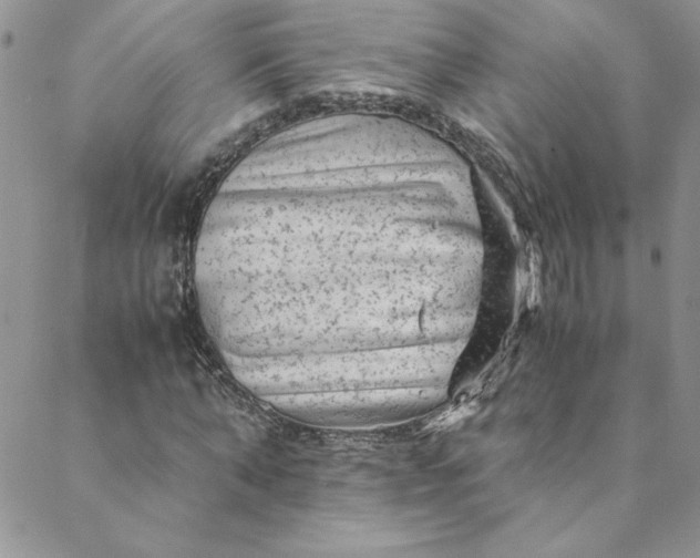 X0000088600870200706081350