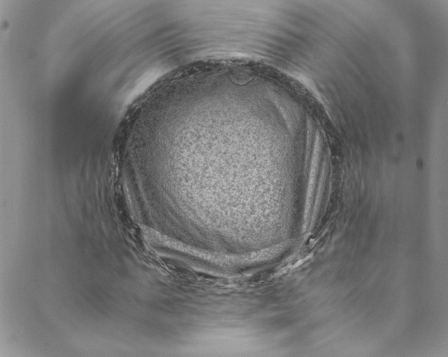 X0000088600871200706081350