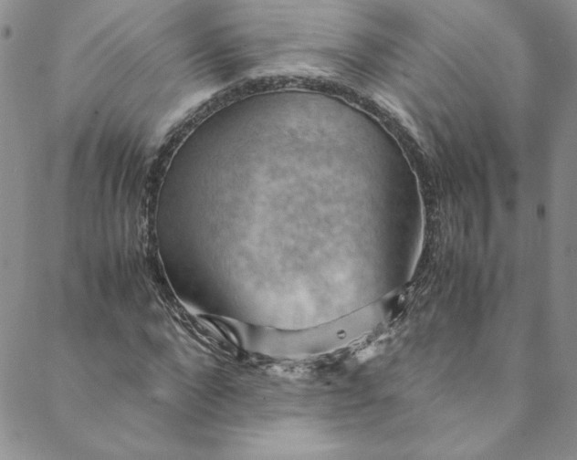 X0000088600872200706081350