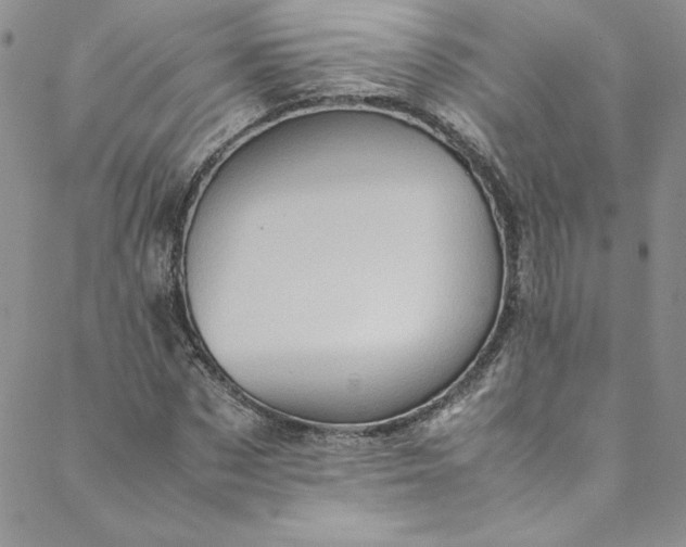 X0000088600873200706081350