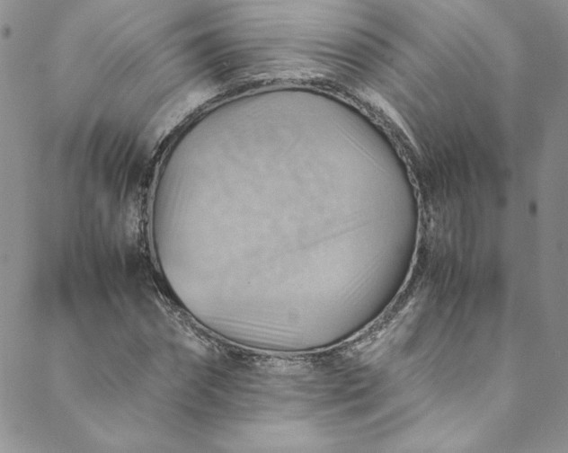 X0000088600874200706081350