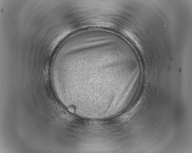 X0000088600875200706081350