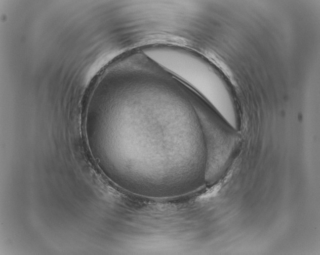 X0000088600877200706081350