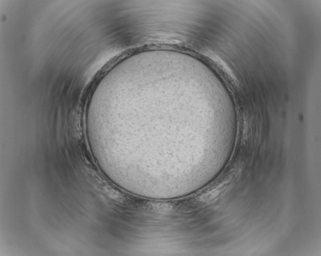 X0000088600878200706081350