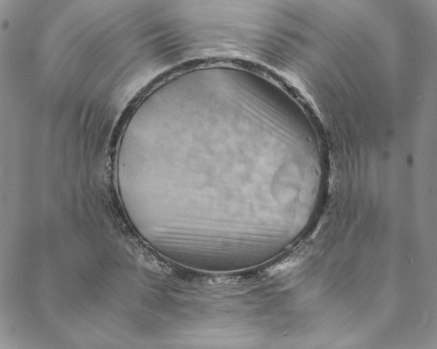 X0000088600879200706081350