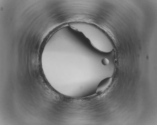 X0000088600880200706081350