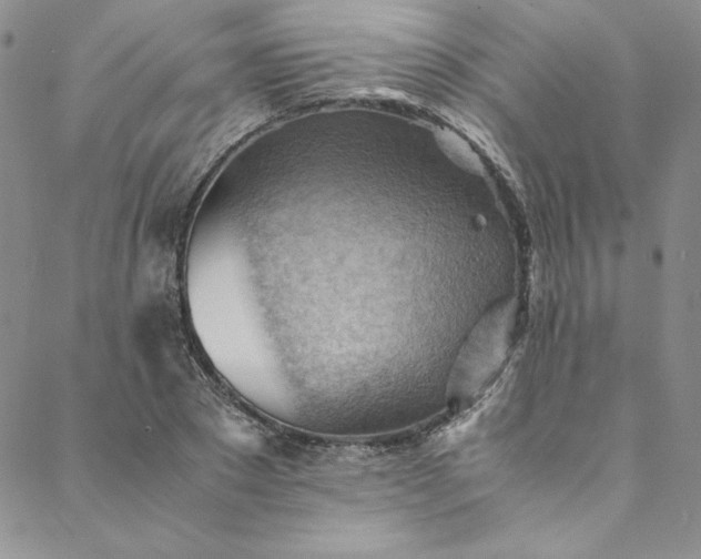 X0000088600881200706081350