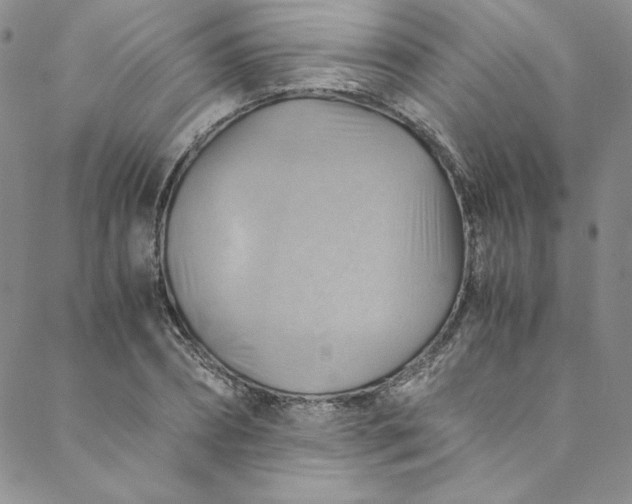 X0000088600882200706081350