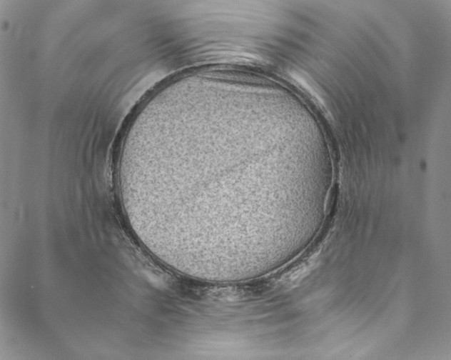 X0000088600883200706081350