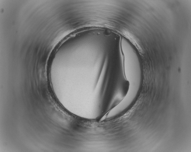 X0000088600884200706081350