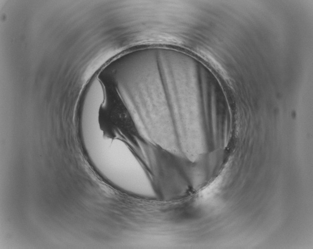 X0000088600885200706081350