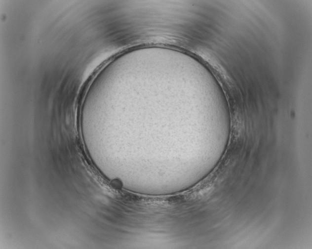 X0000088600886200706081350