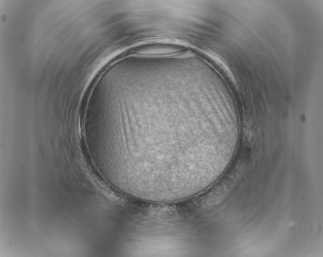 X0000088600887200706081350