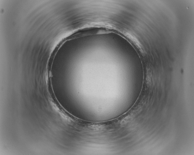 X0000088600888200706081350