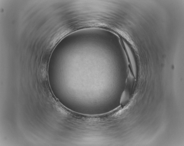 X0000088600889200706081350