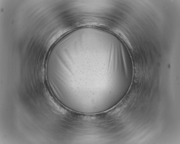 X0000088600890200706081350